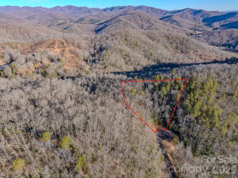 1647 Mills River Way Horse Shoe NC 28742