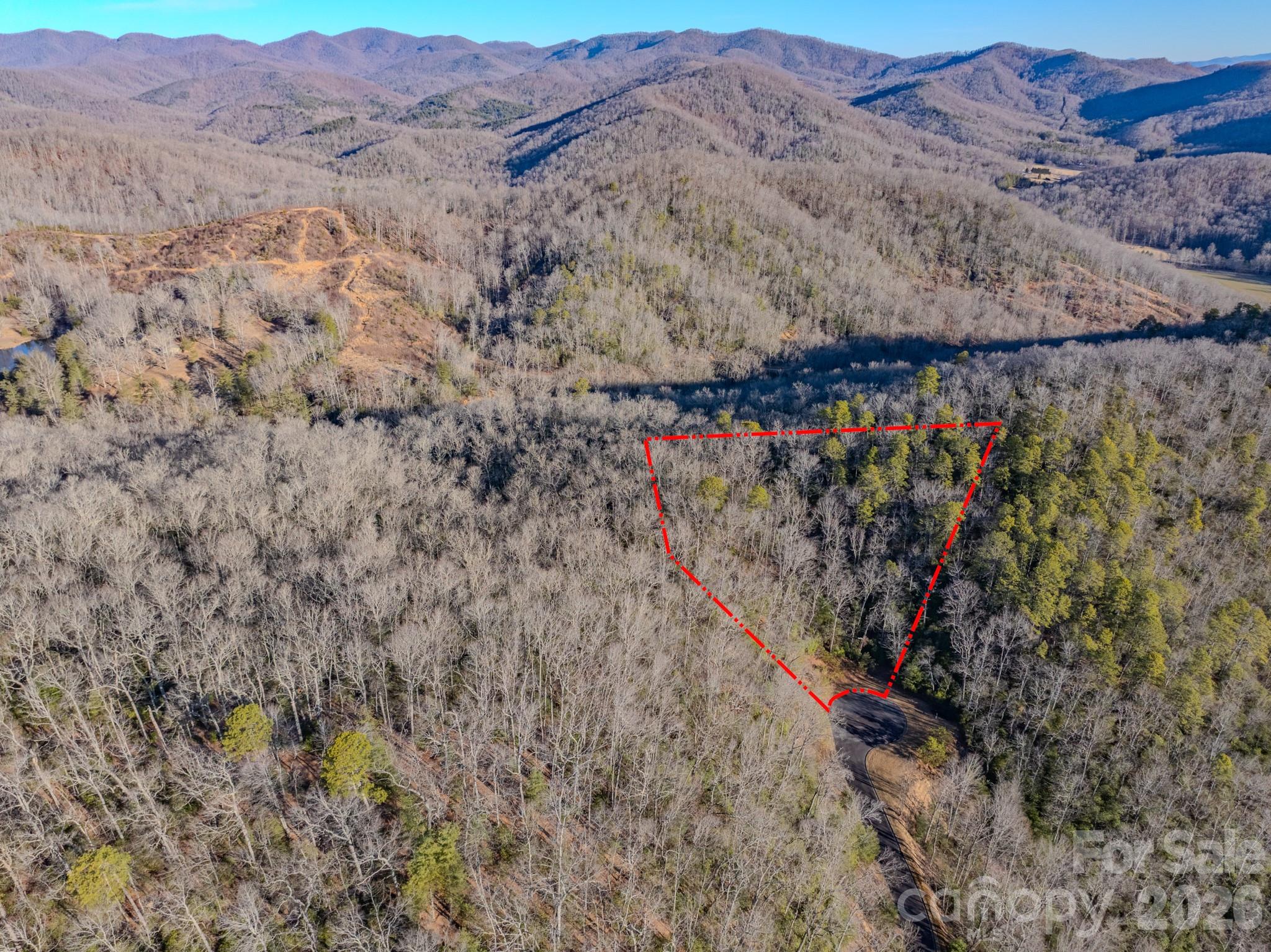 1647 Mills River Way Horse Shoe NC 28742