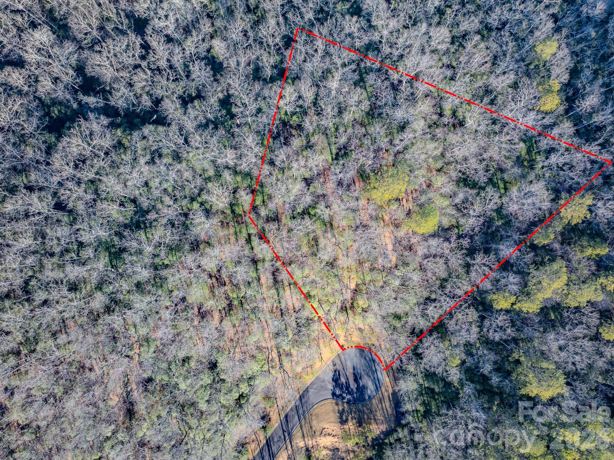 1647 Mills River Way Horse Shoe NC 28742