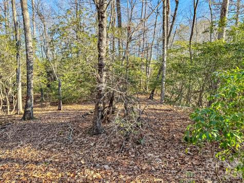 1647 Mills River Way Horse Shoe NC 28742