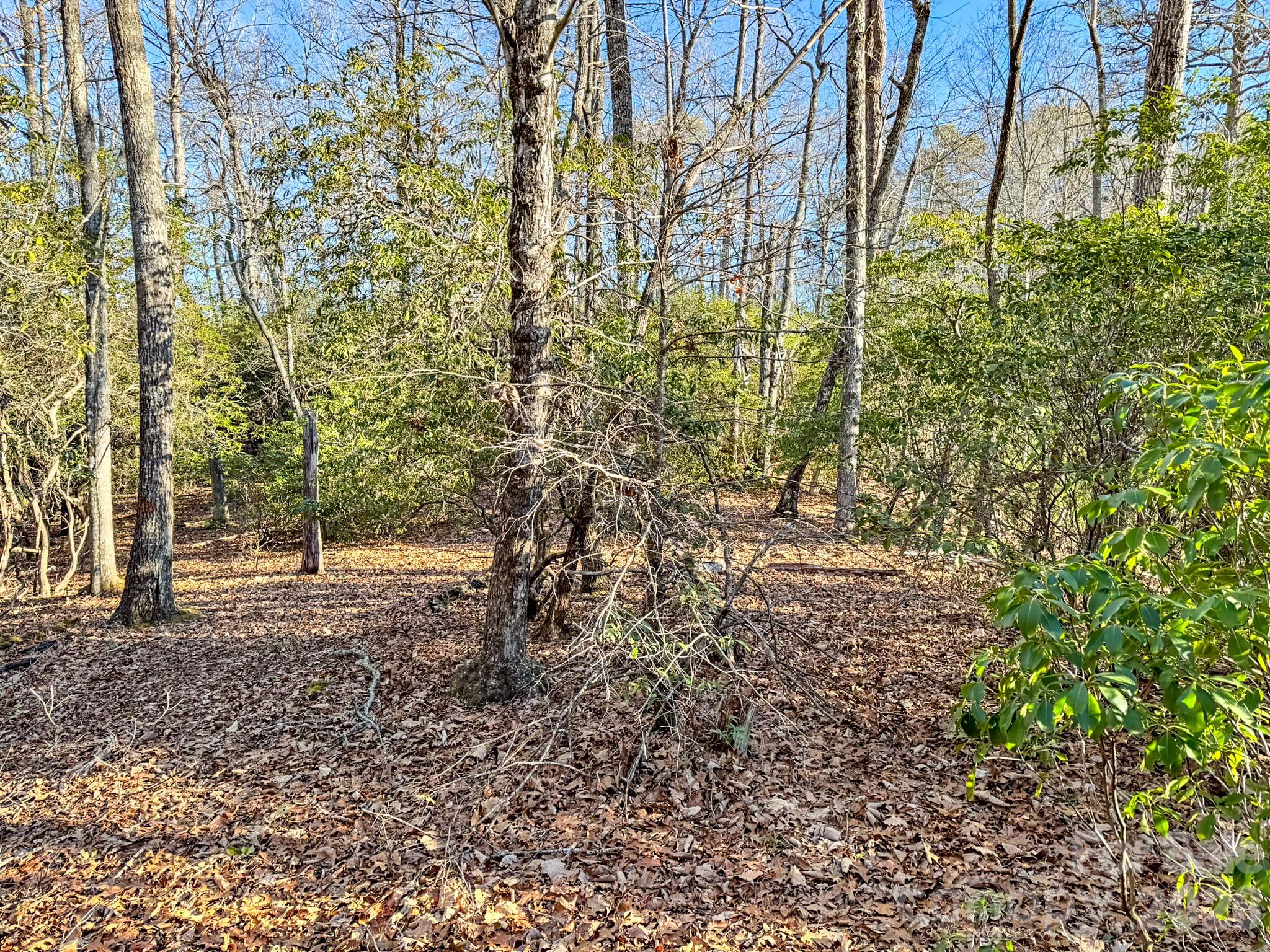 1647 Mills River Way Horse Shoe NC 28742