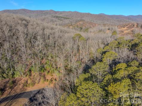 1647 Mills River Way Horse Shoe NC 28742