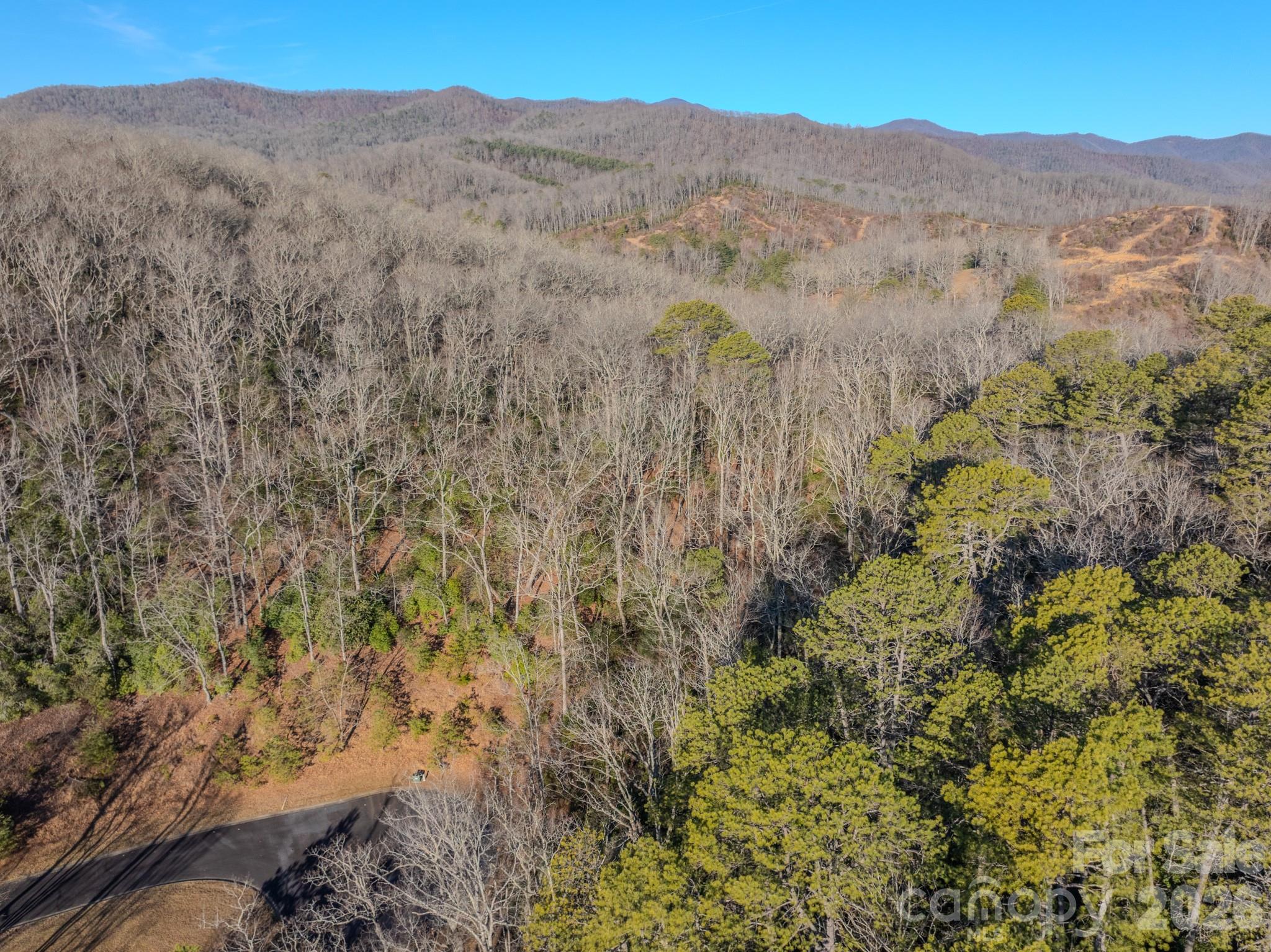 1647 Mills River Way Horse Shoe NC 28742