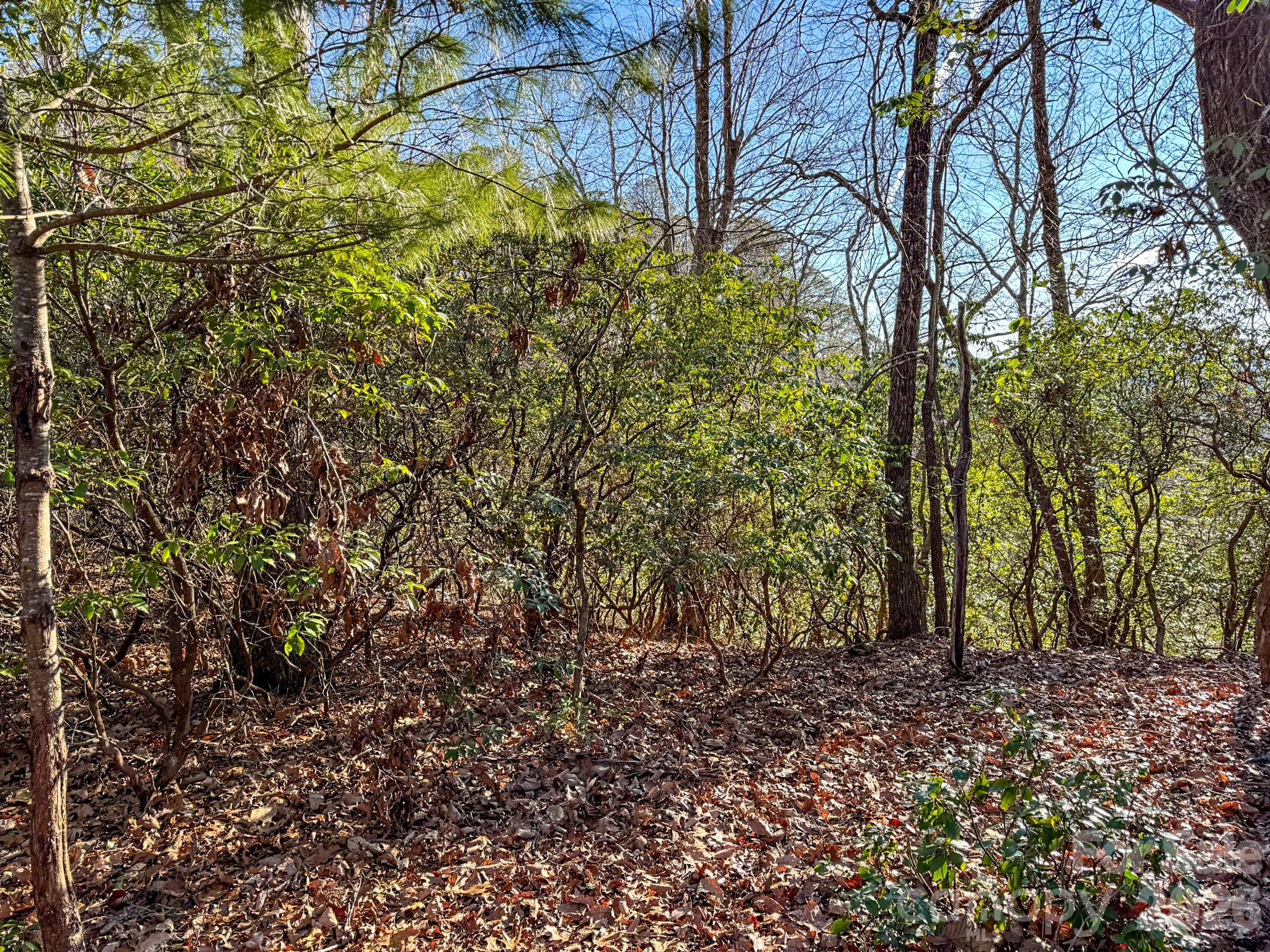 1647 Mills River Way Horse Shoe NC 28742