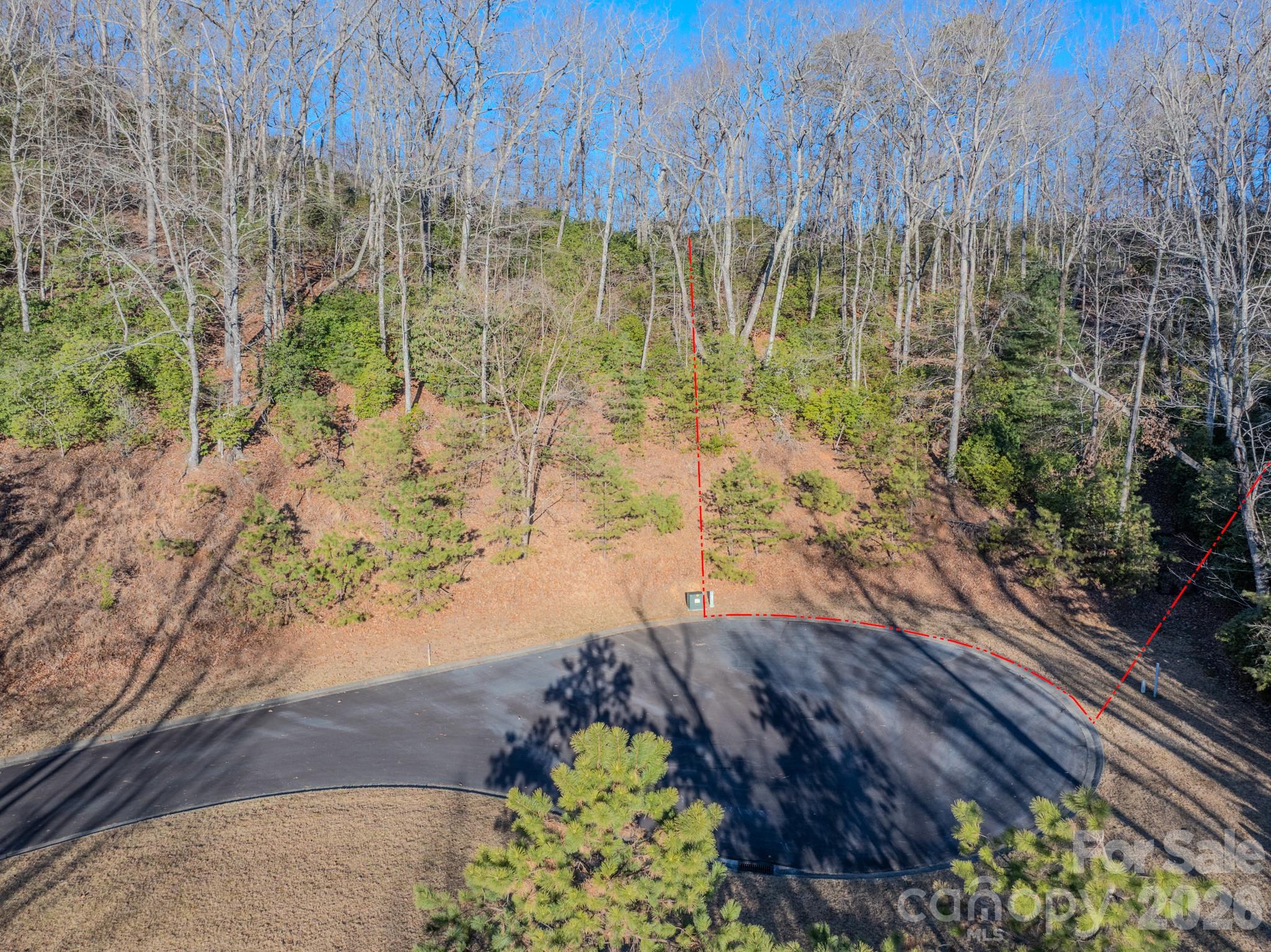 1647 Mills River Way Horse Shoe NC 28742