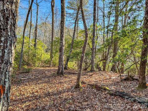 1647 Mills River Way Horse Shoe NC 28742