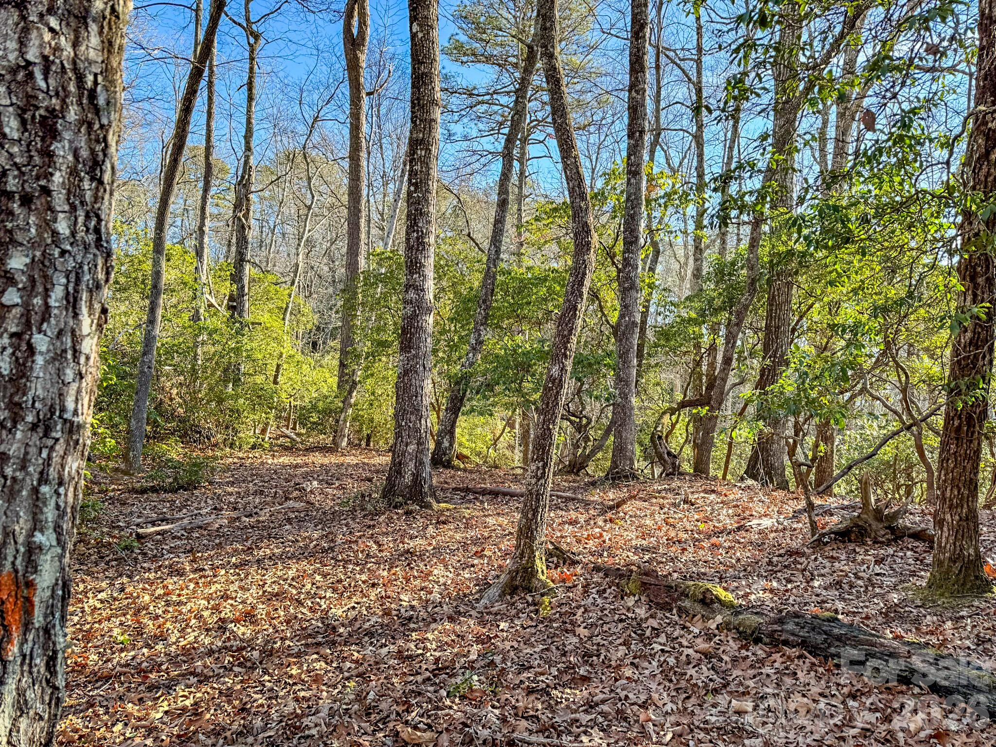 1647 Mills River Way Horse Shoe NC 28742