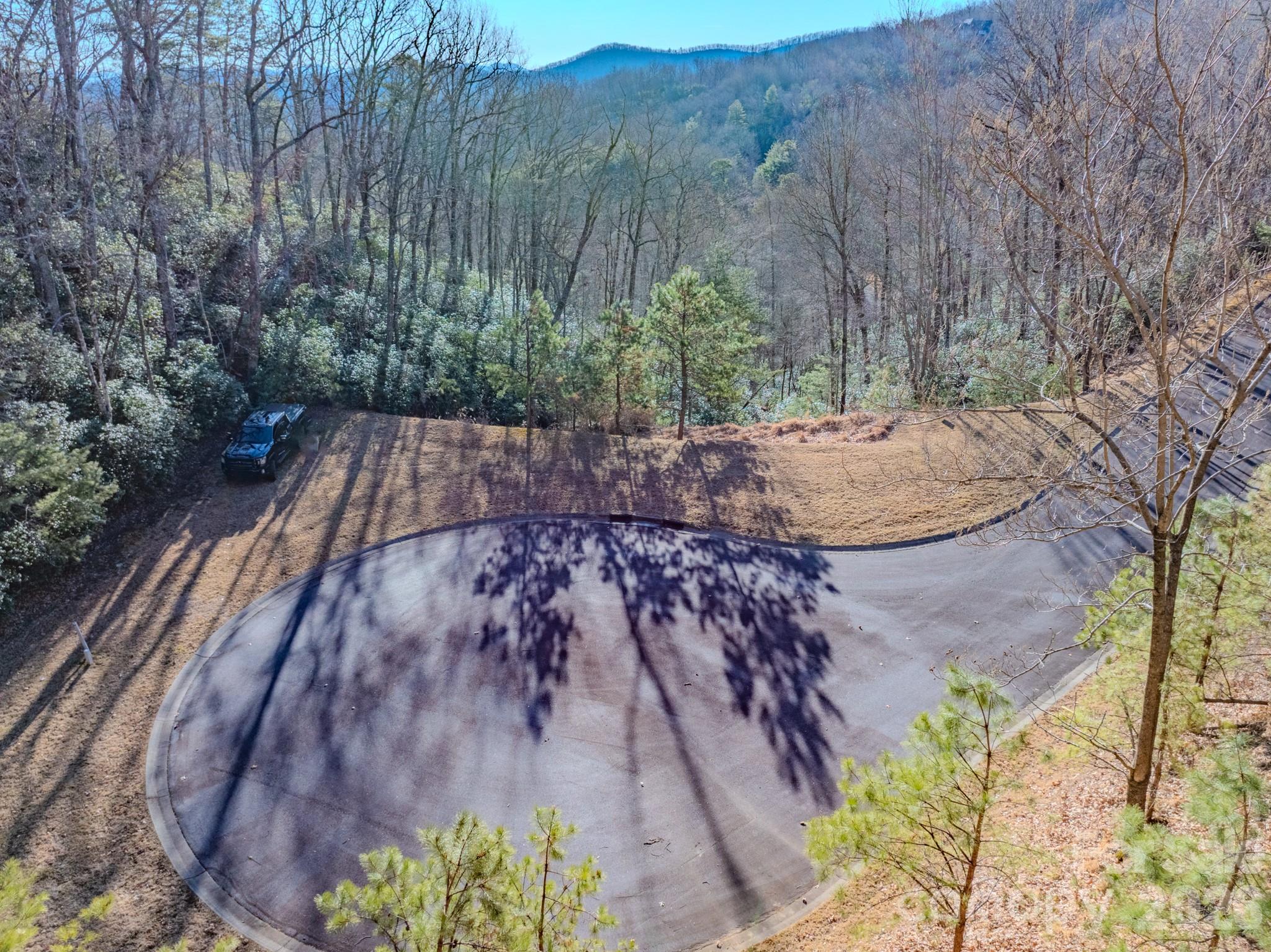 1647 Mills River Way Horse Shoe NC 28742
