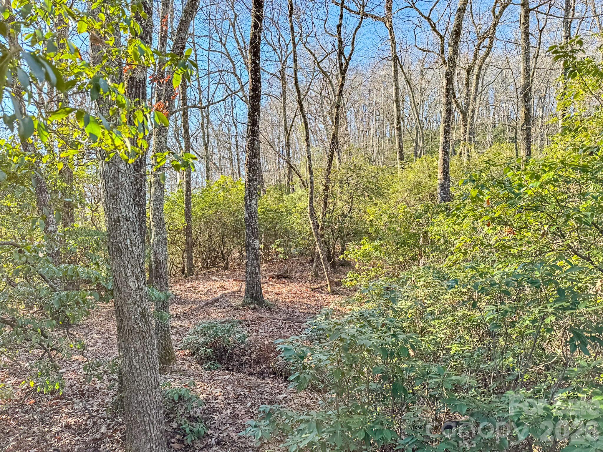 1647 Mills River Way Horse Shoe NC 28742