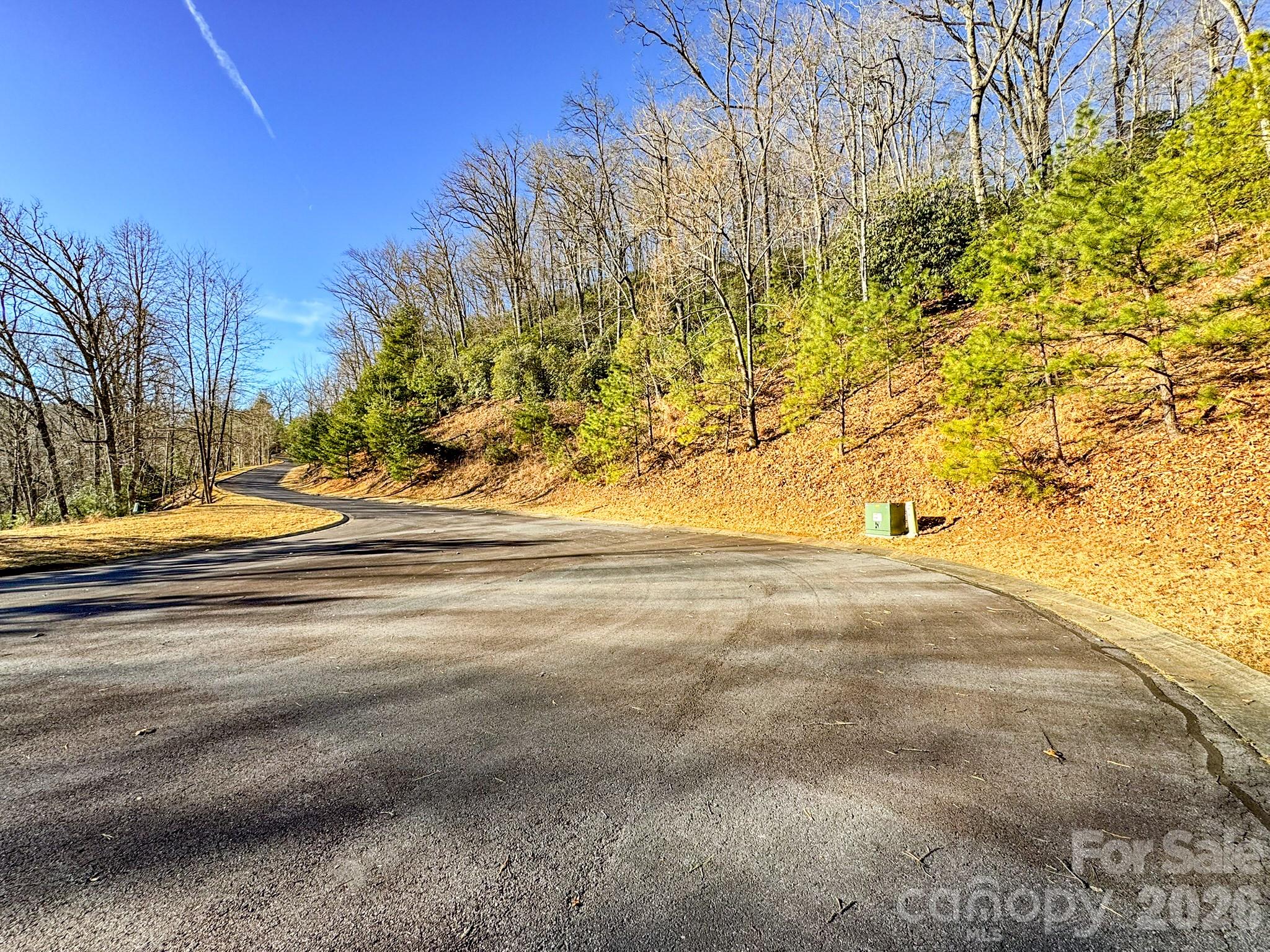1647 Mills River Way Horse Shoe NC 28742