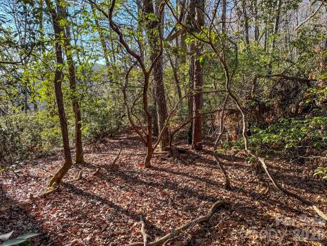 1647 Mills River Way Horse Shoe NC 28742