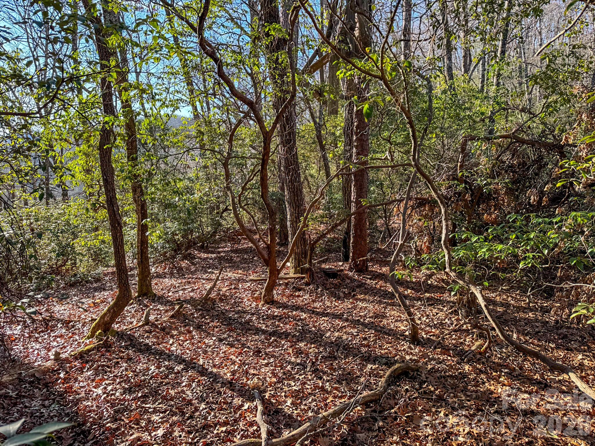 1647 Mills River Way Horse Shoe NC 28742