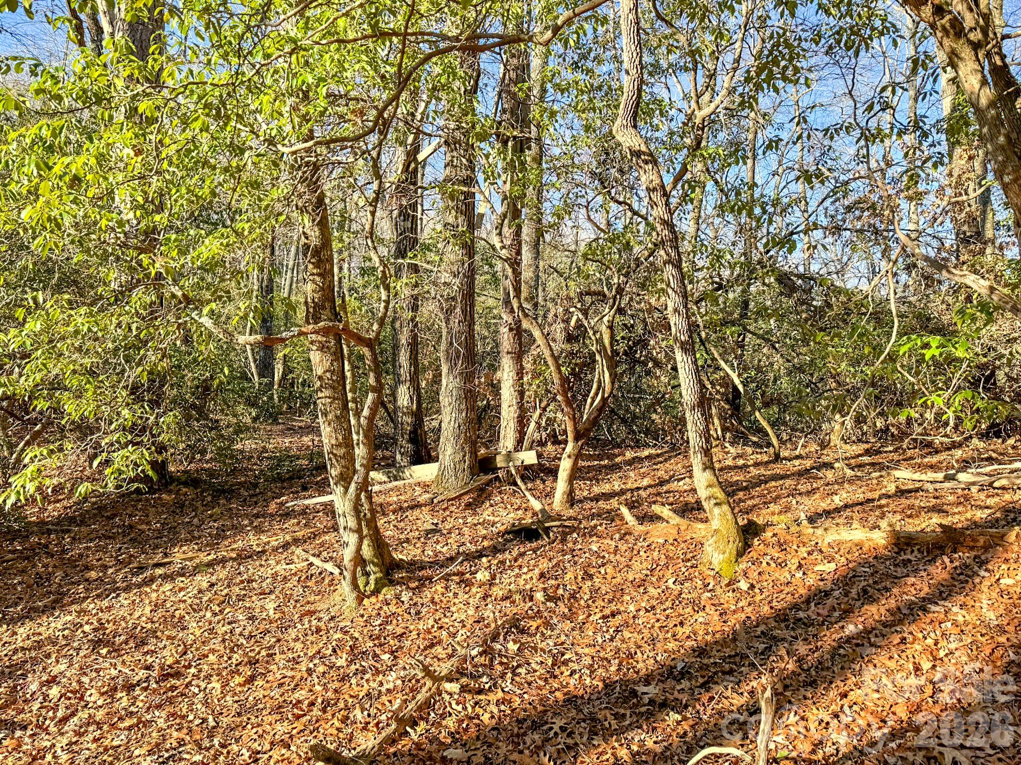 1647 Mills River Way Horse Shoe NC 28742