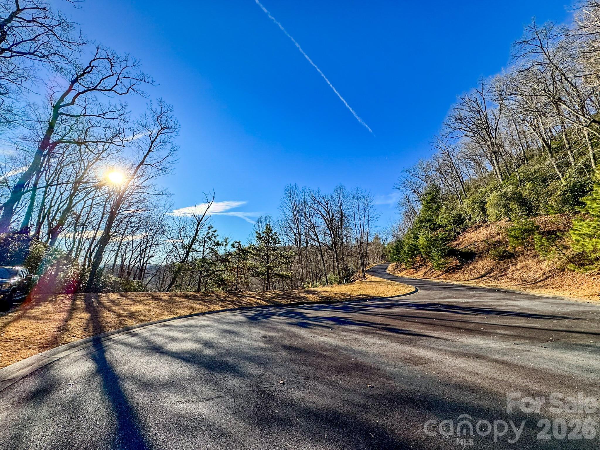 1647 Mills River Way Horse Shoe NC 28742