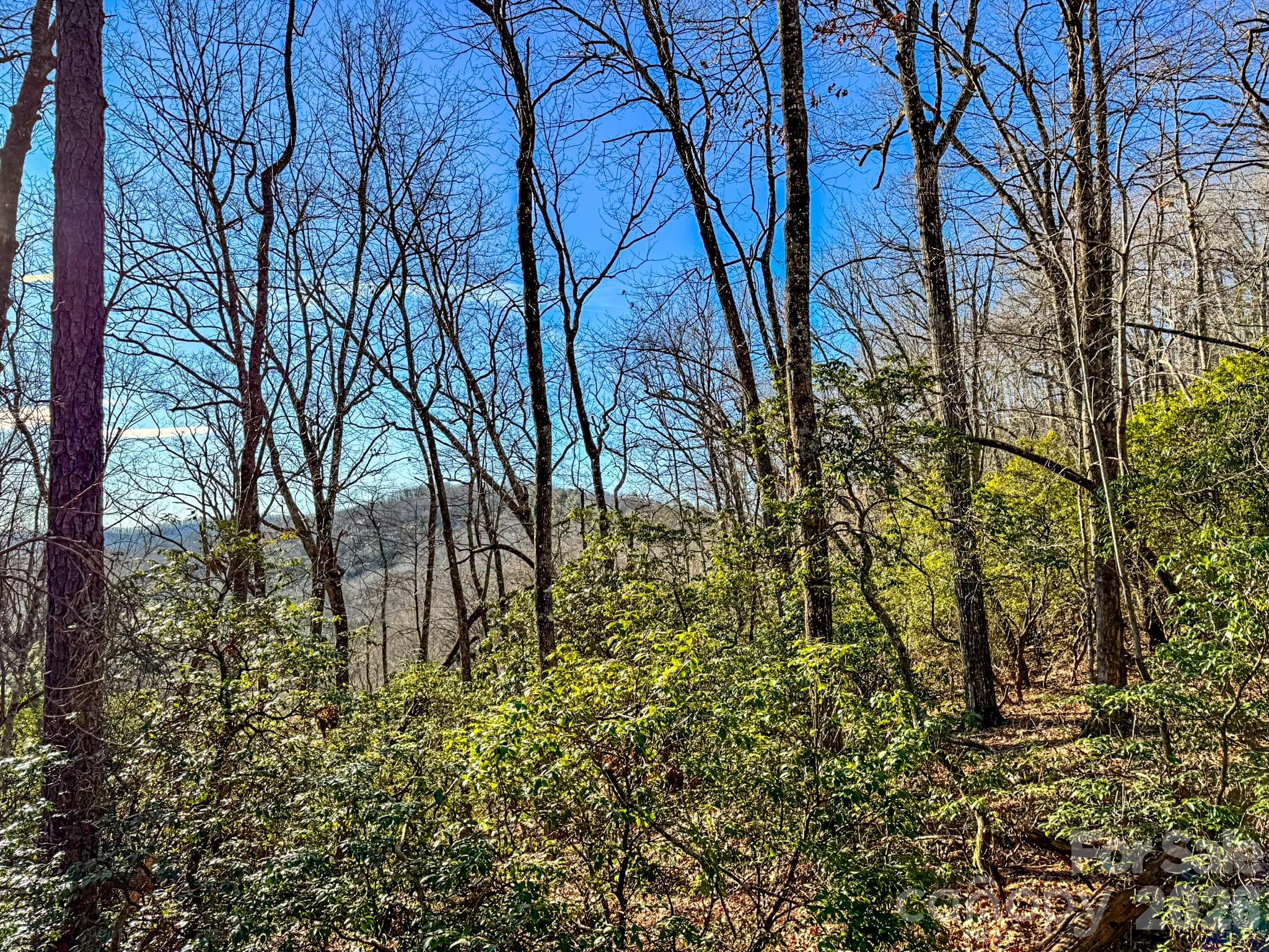 1647 Mills River Way Horse Shoe NC 28742