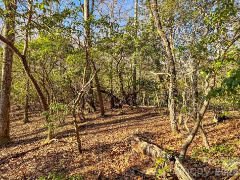 1647 Mills River Way Horse Shoe NC 28742