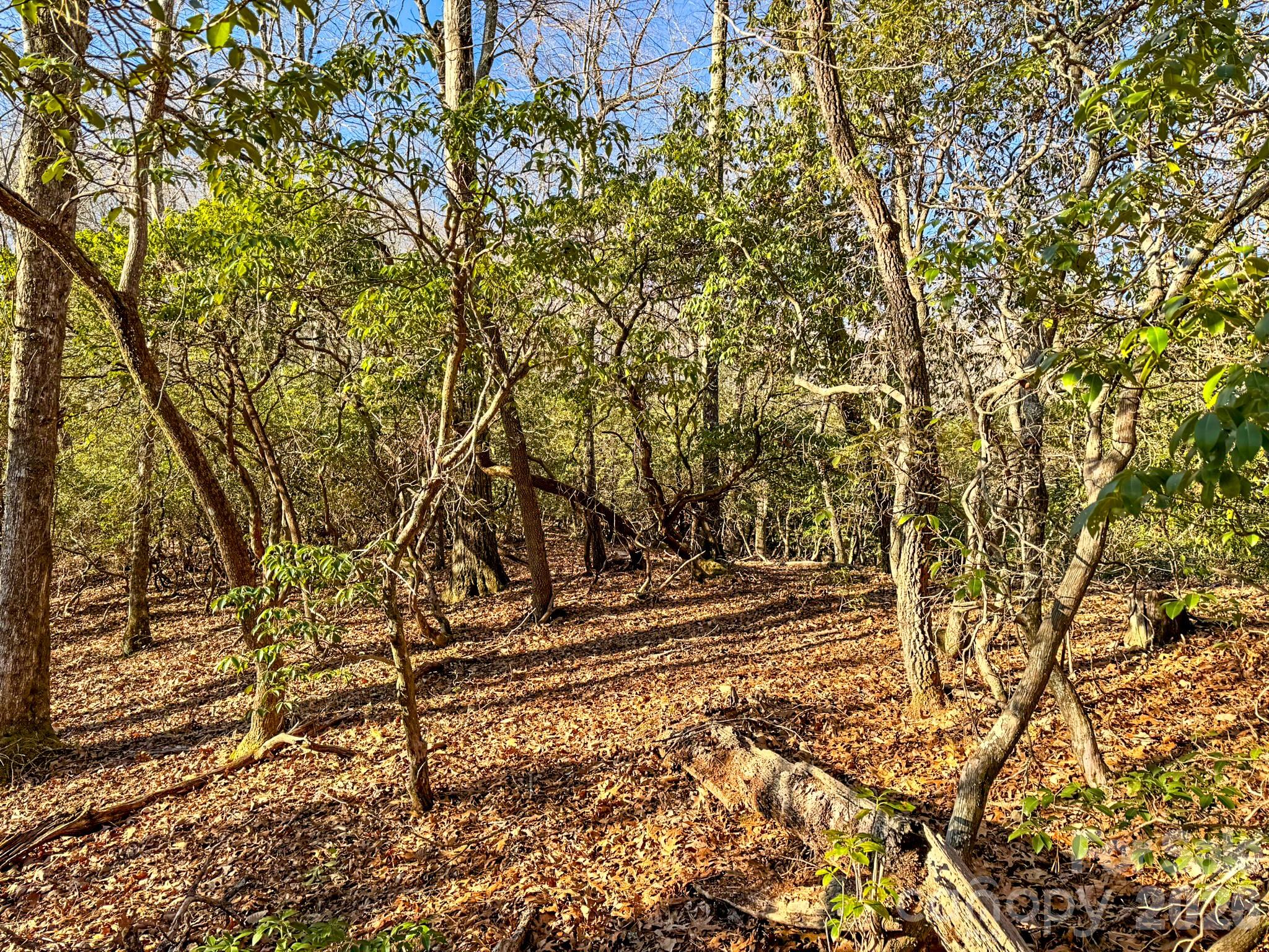1647 Mills River Way Horse Shoe NC 28742