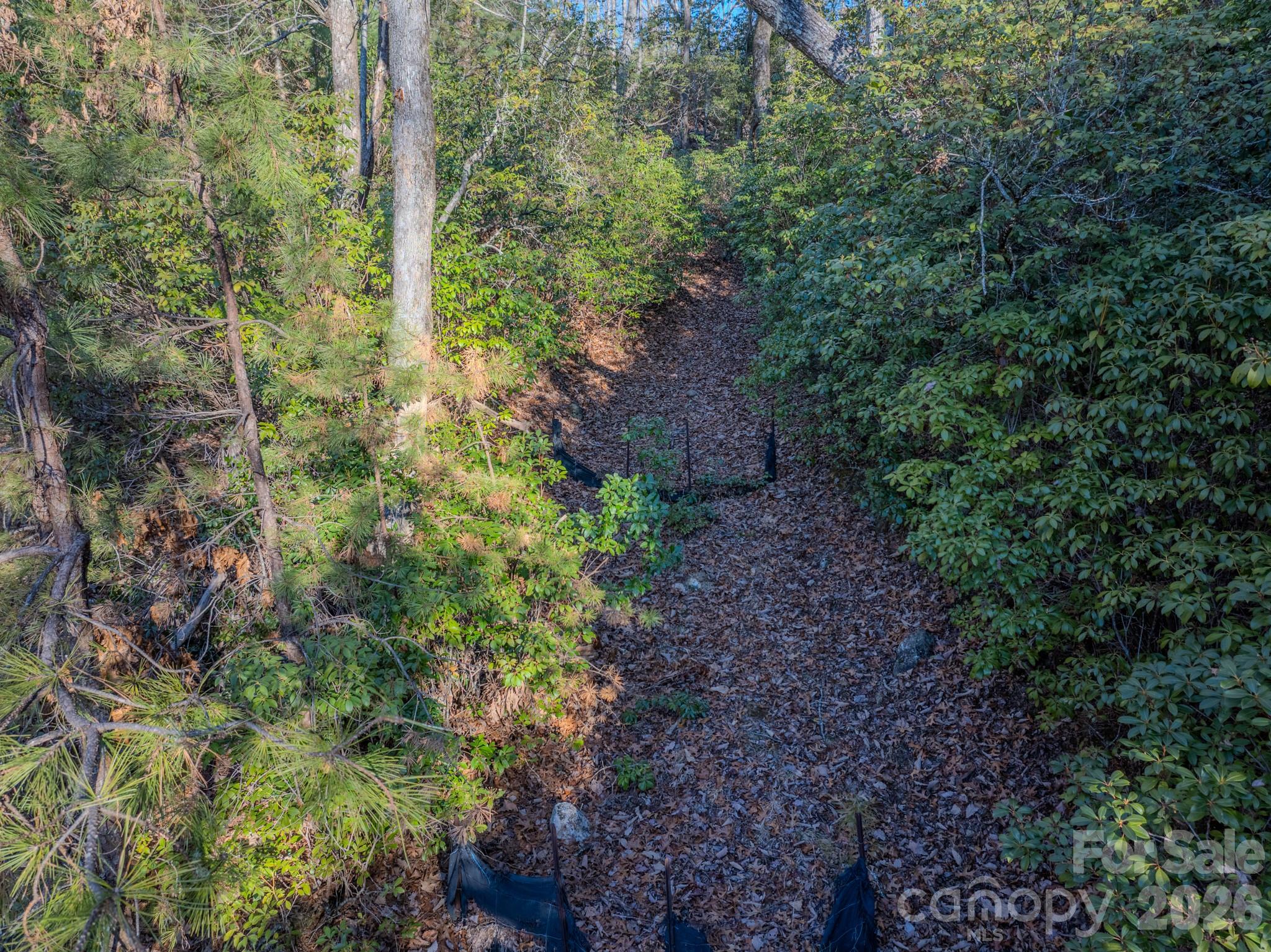 1647 Mills River Way Horse Shoe NC 28742