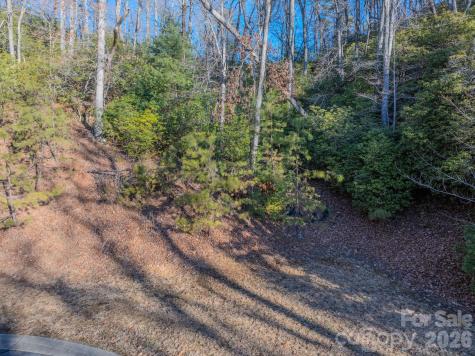 1647 Mills River Way Horse Shoe NC 28742