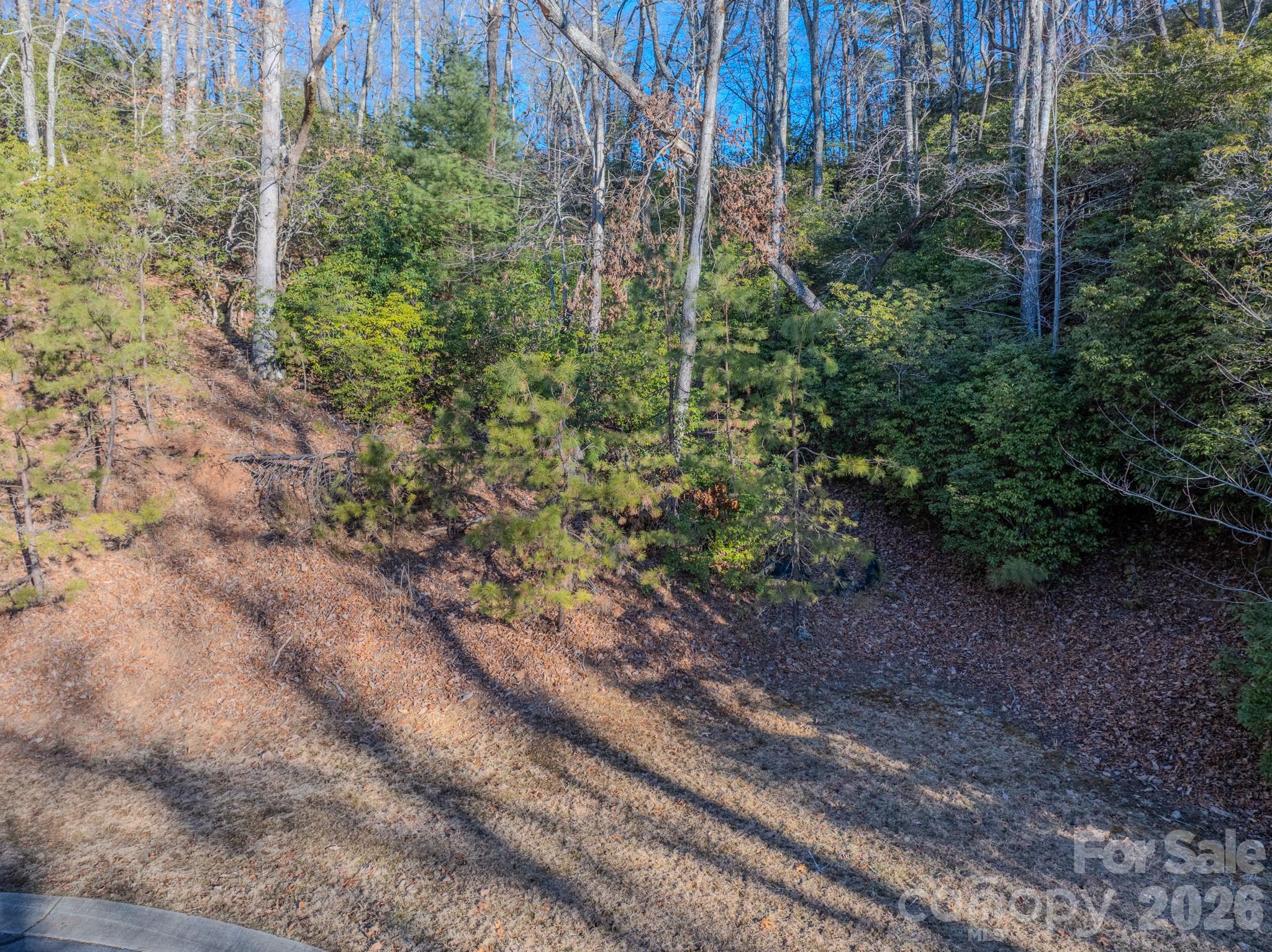 1647 Mills River Way Horse Shoe NC 28742