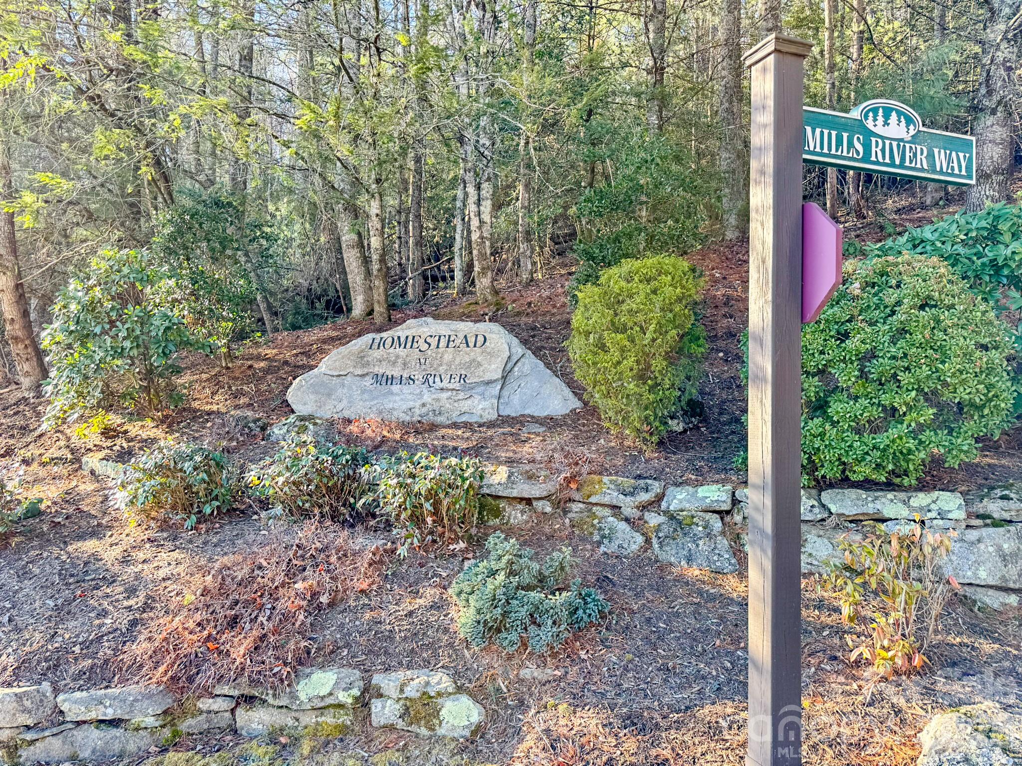 1647 Mills River Way Horse Shoe NC 28742