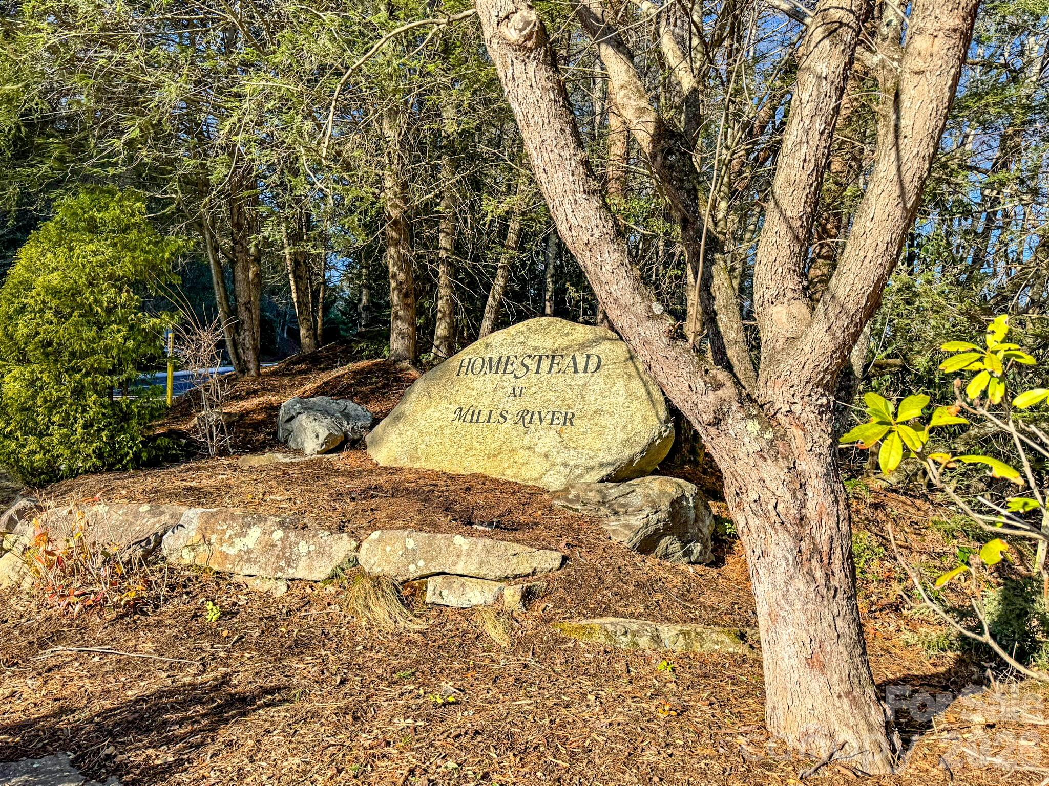 1647 Mills River Way Horse Shoe NC 28742