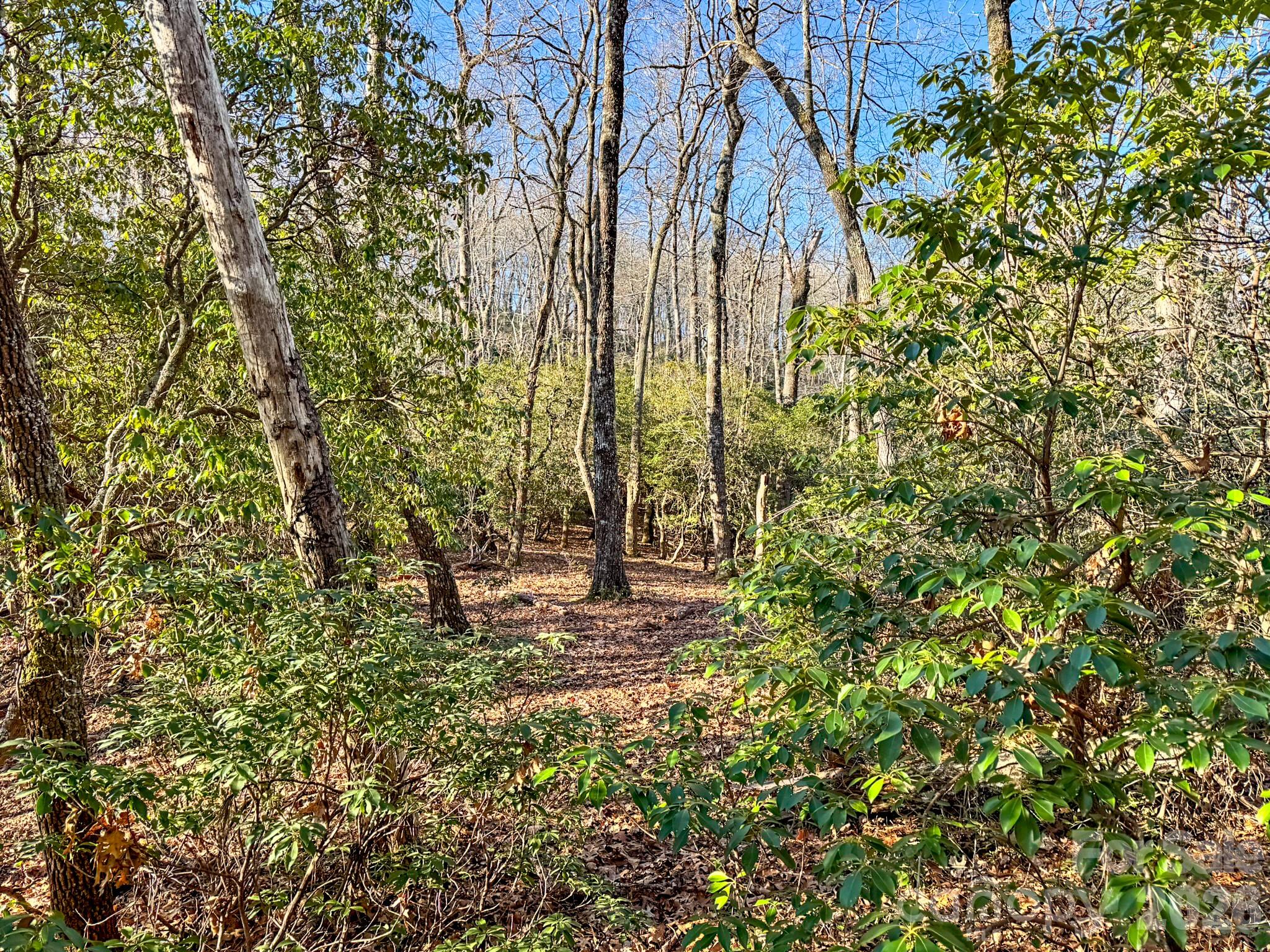 1647 Mills River Way Horse Shoe NC 28742