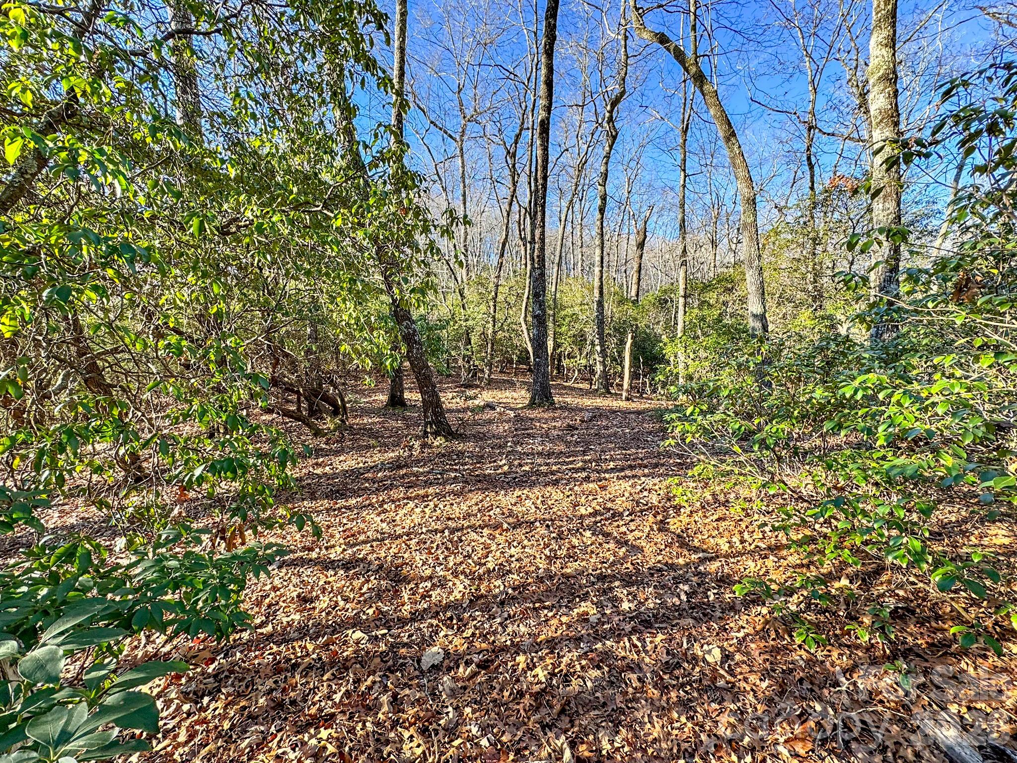 1647 Mills River Way Horse Shoe NC 28742