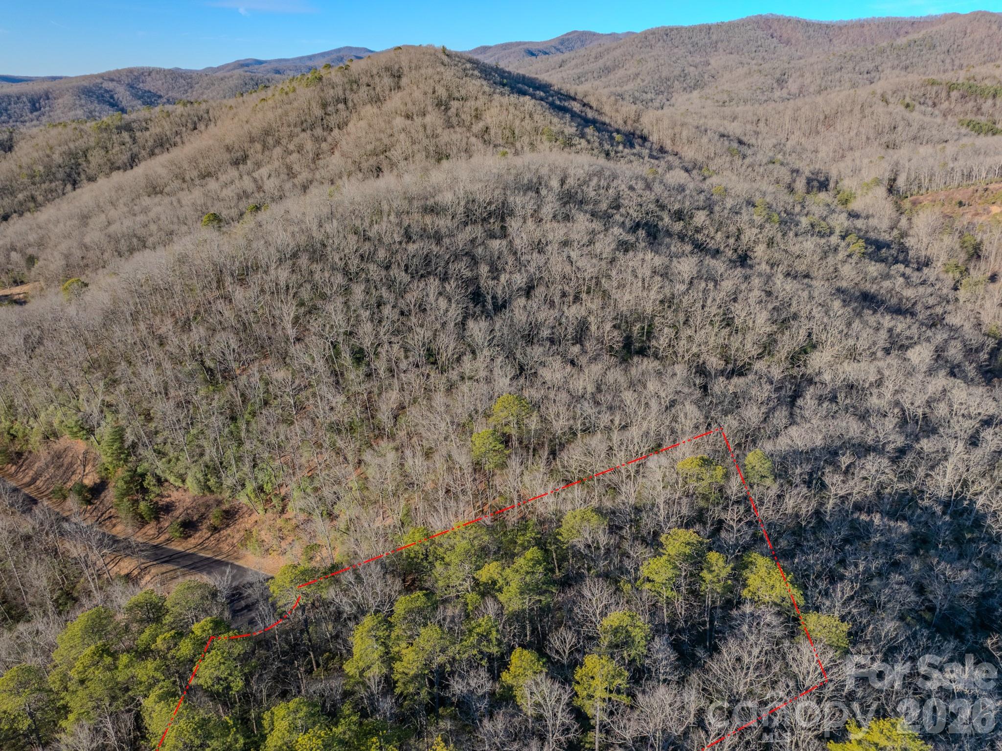 1647 Mills River Way Horse Shoe NC 28742