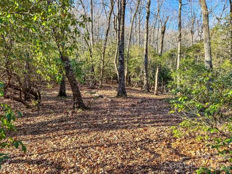 1647 Mills River Way Horse Shoe NC 28742