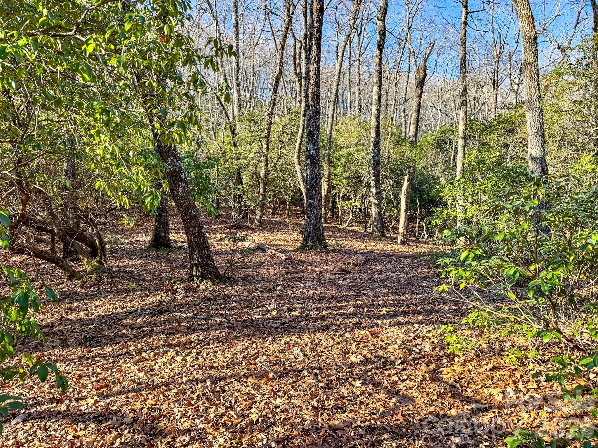 1647 Mills River Way Horse Shoe NC 28742