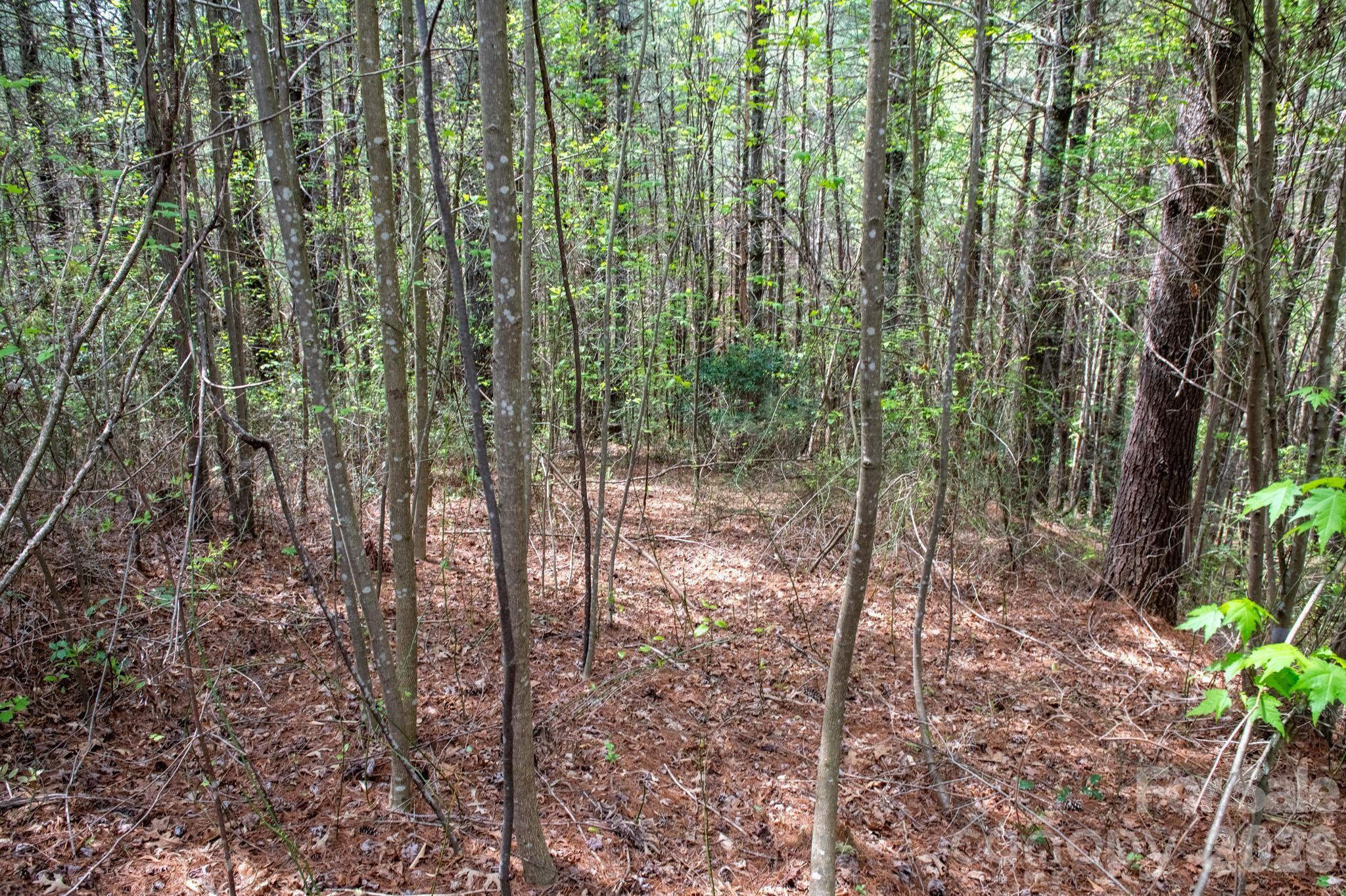 000 Collette Ridge Circle Collettsville NC 28611