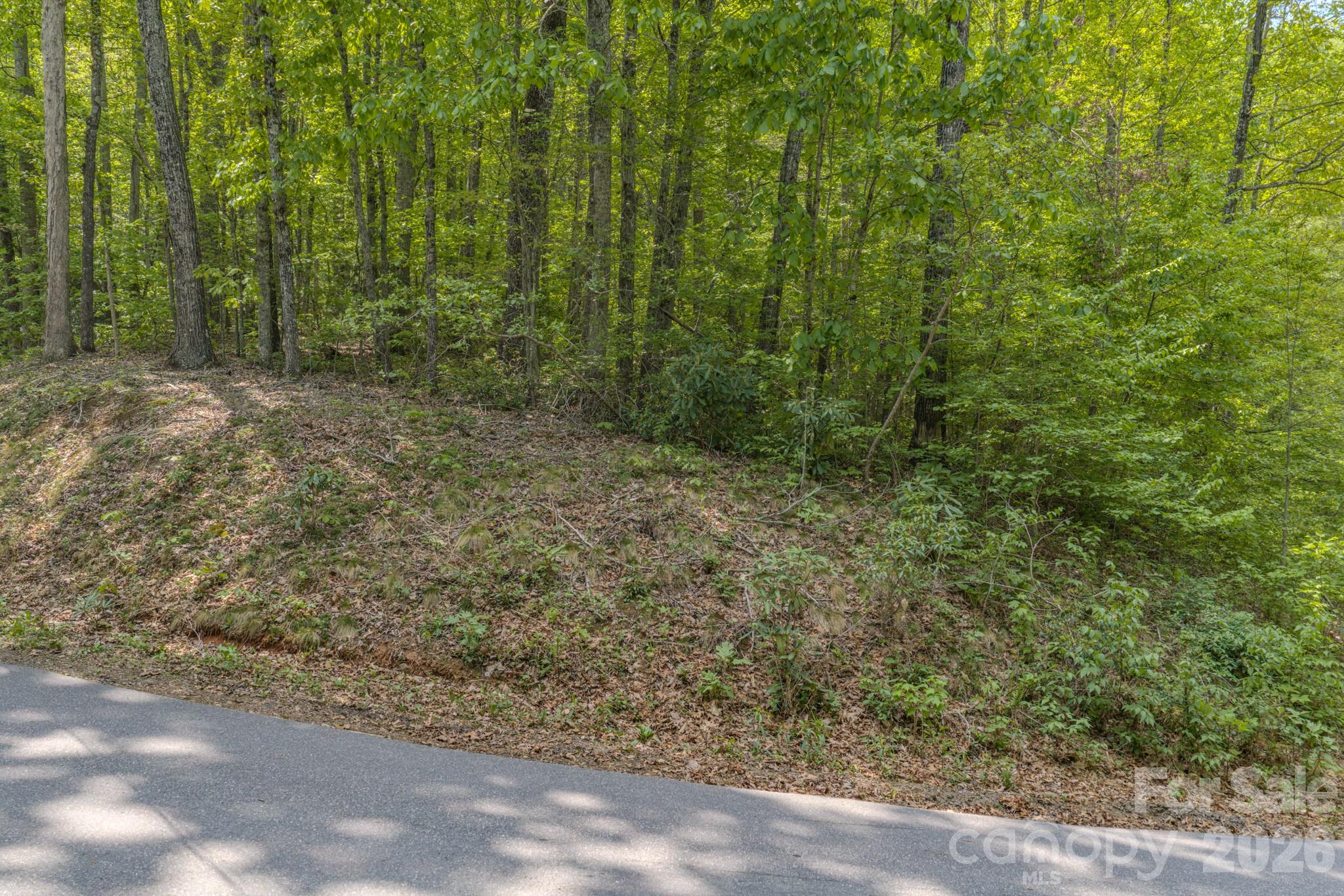 259 Mockingbird Road Swannanoa NC 28778