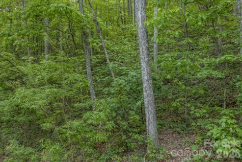 259 Mockingbird Road Swannanoa NC 28778