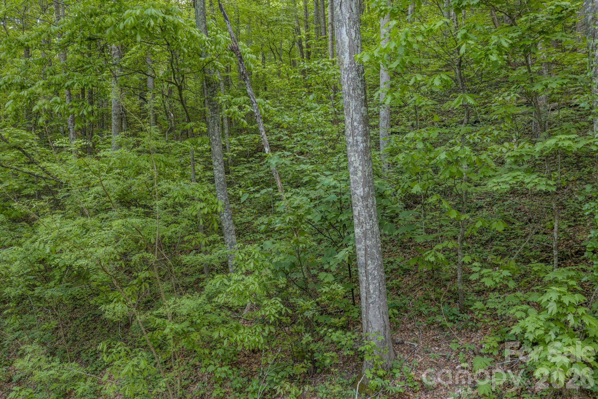 259 Mockingbird Road Swannanoa NC 28778