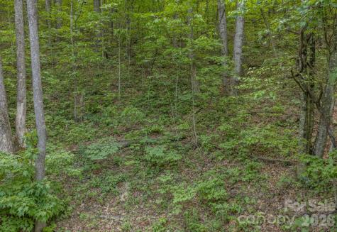 259 Mockingbird Road Swannanoa NC 28778
