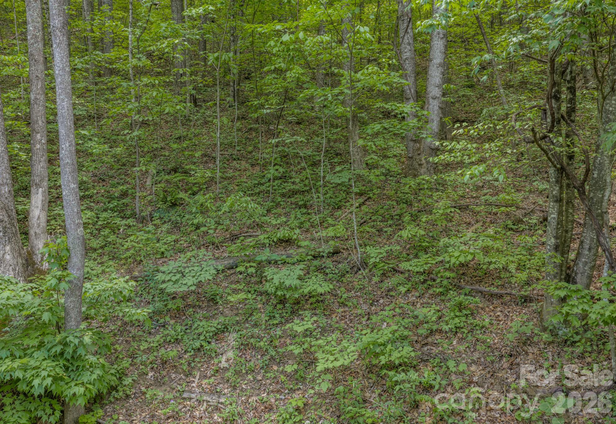 259 Mockingbird Road Swannanoa NC 28778