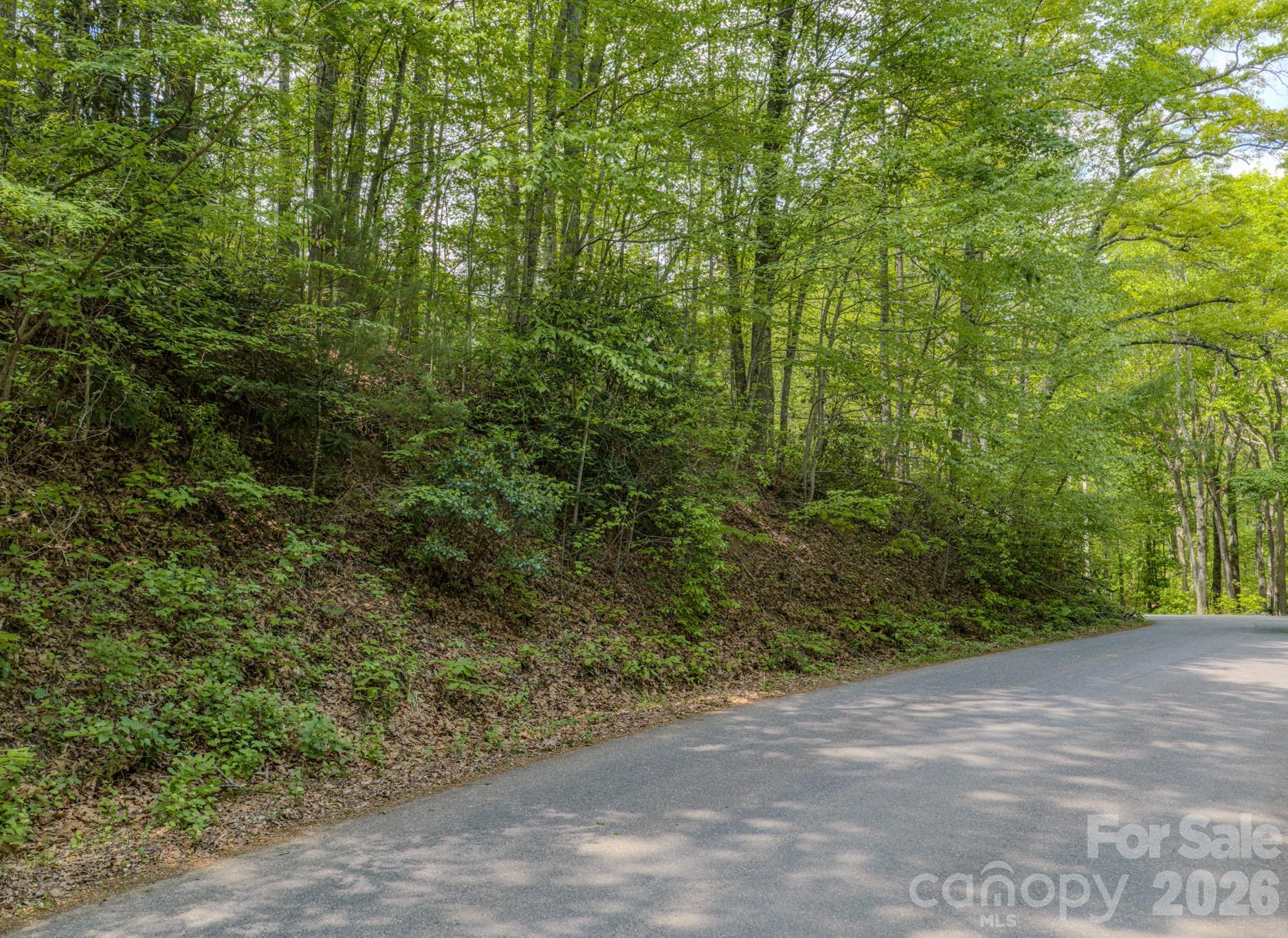 259 Mockingbird Road Swannanoa NC 28778
