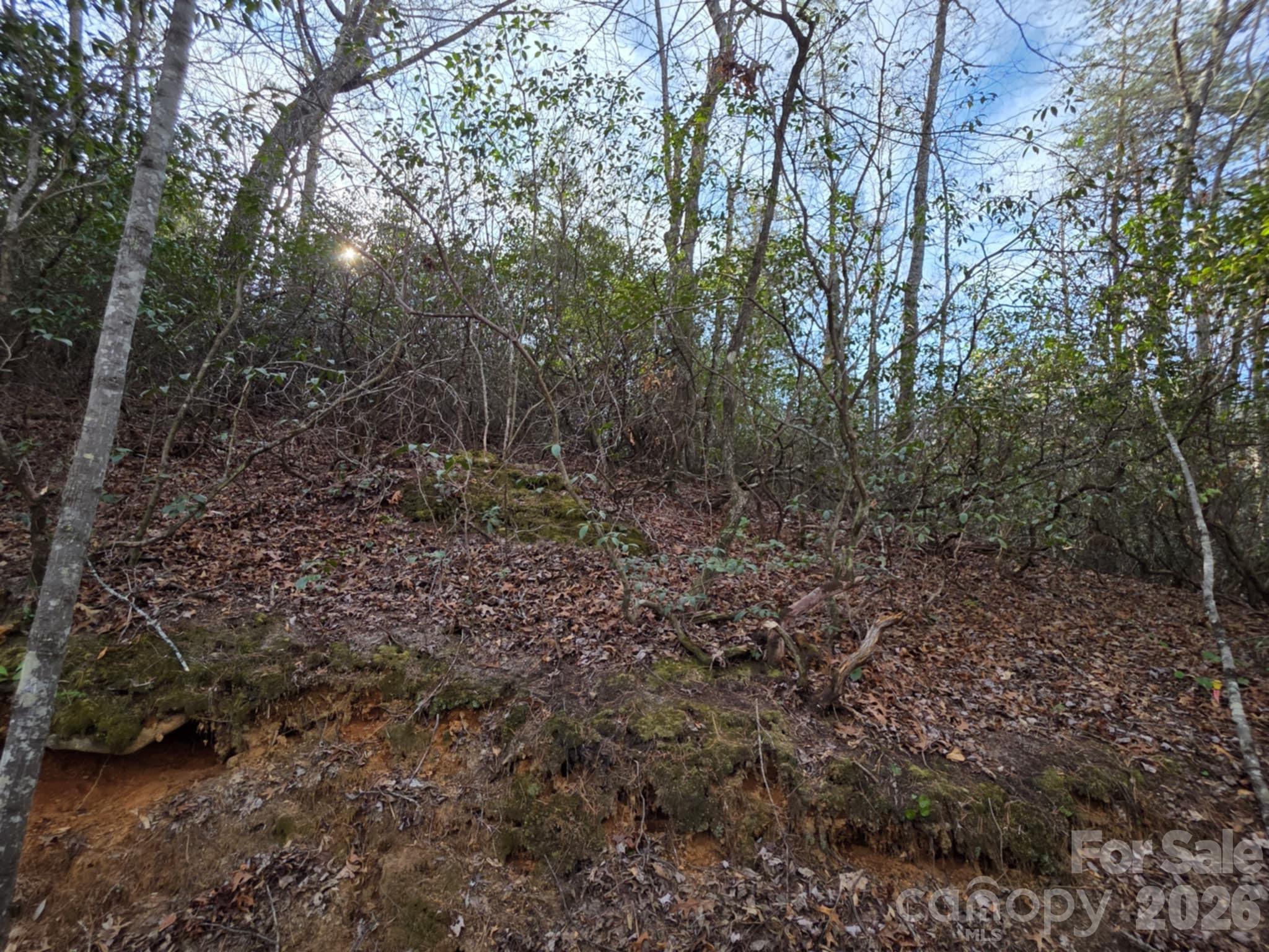 Lot 10 Kerlee Lane Old Fort NC 28762