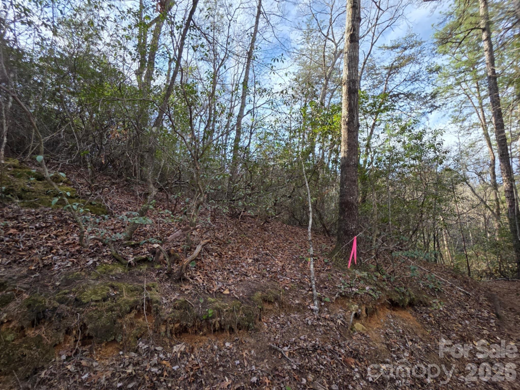 Lot 10 Kerlee Lane Old Fort NC 28762