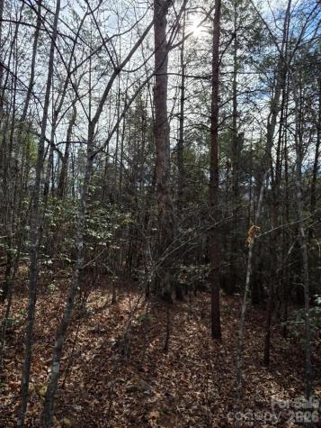 Lot 10 Kerlee Lane Old Fort NC 28762