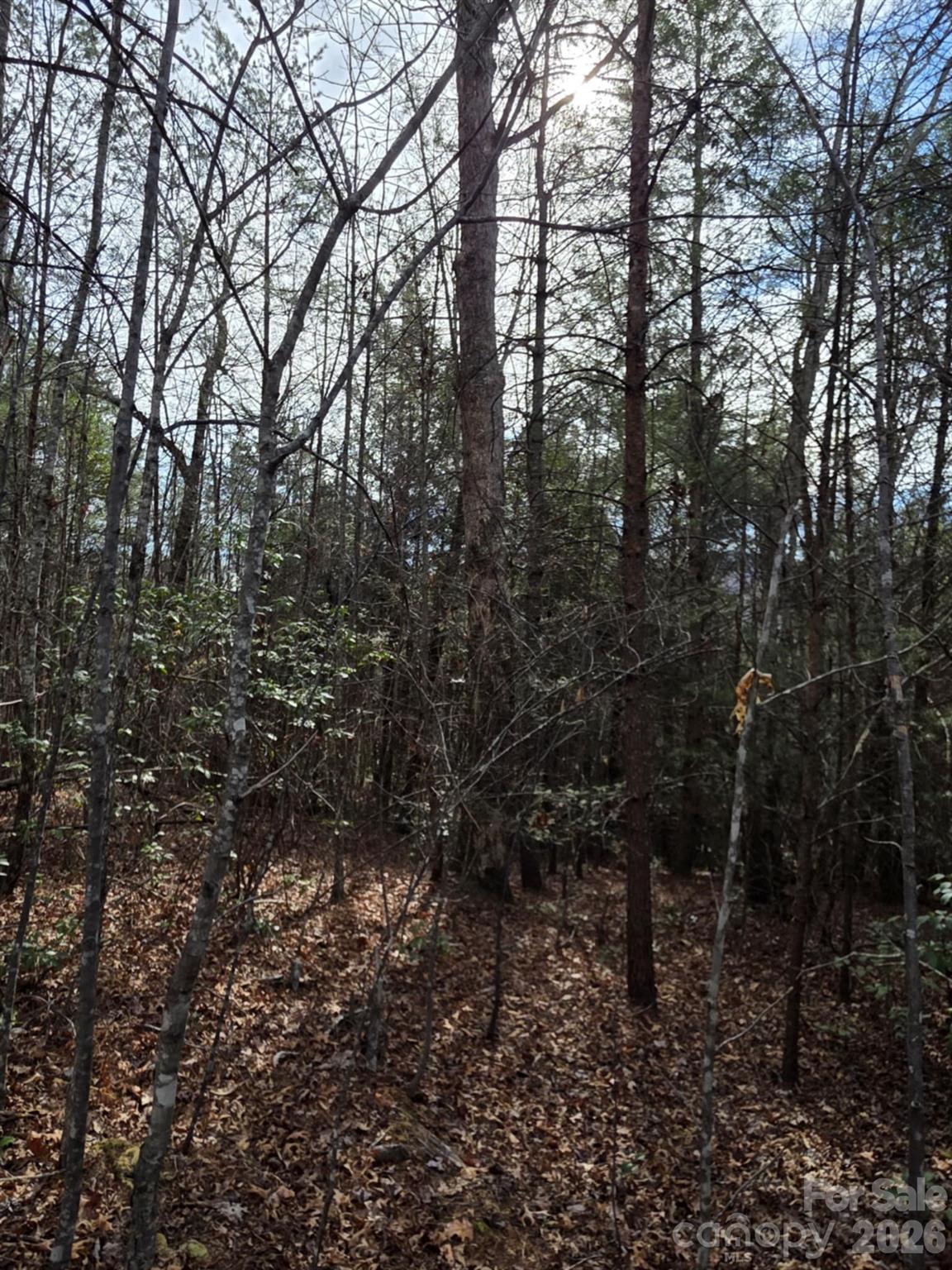 Lot 10 Kerlee Lane Old Fort NC 28762