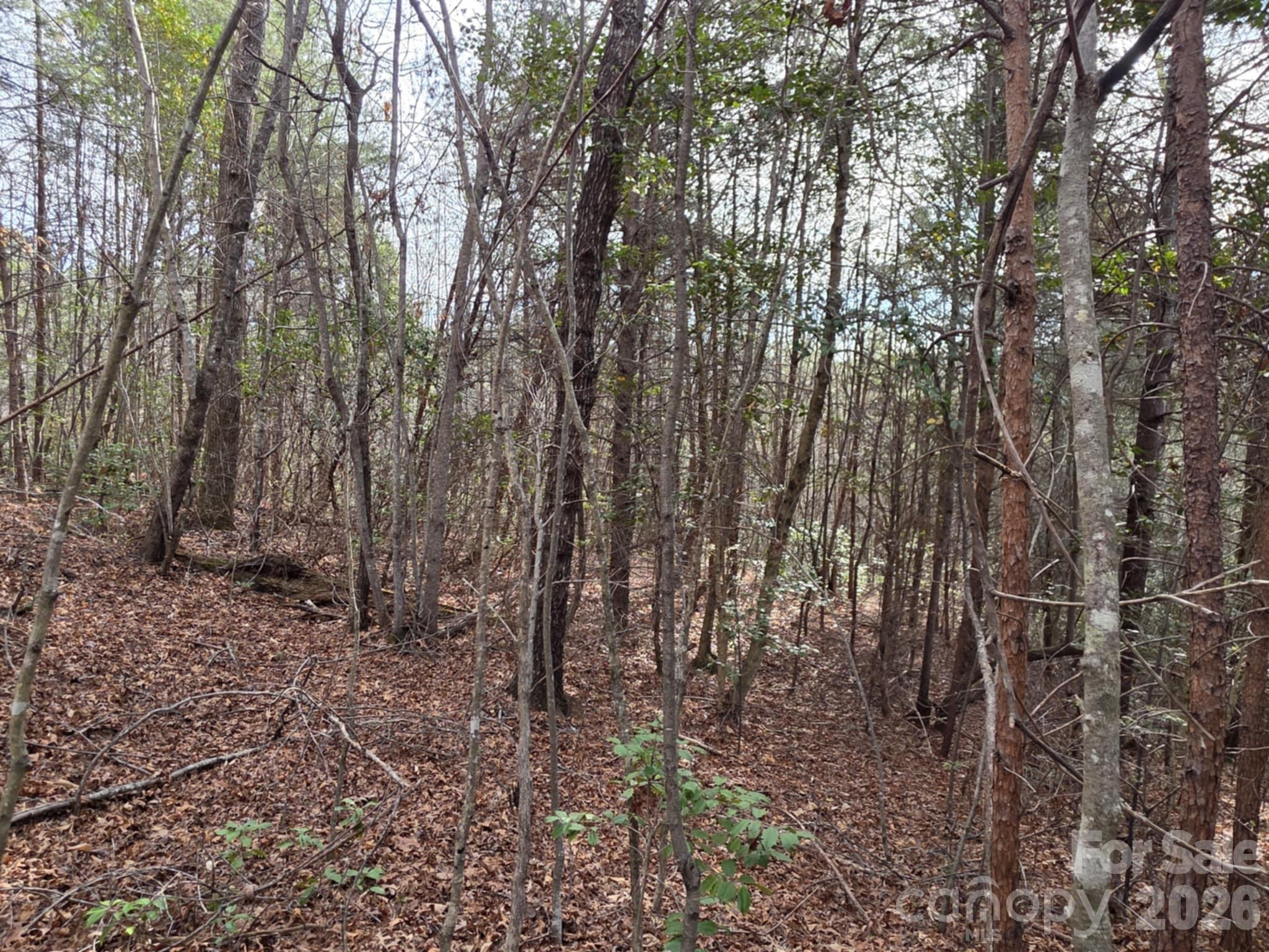 Lot 10 Kerlee Lane Old Fort NC 28762
