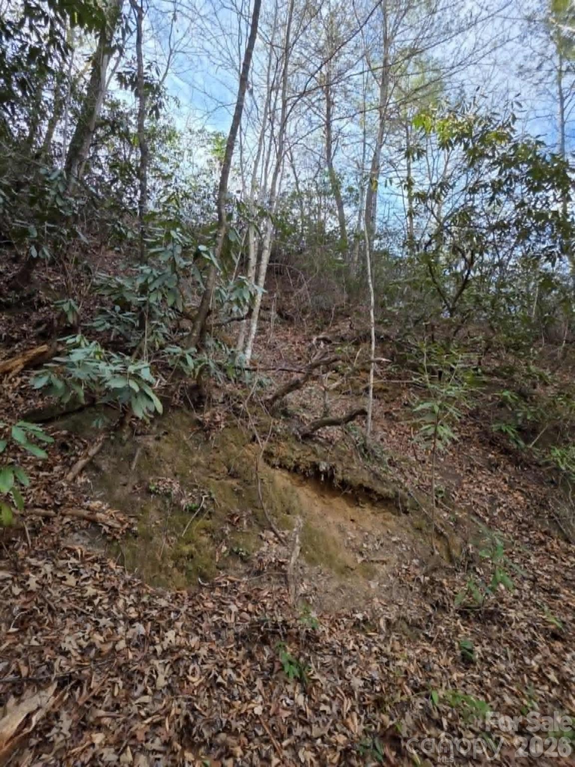 Lot 10 Kerlee Lane Old Fort NC 28762