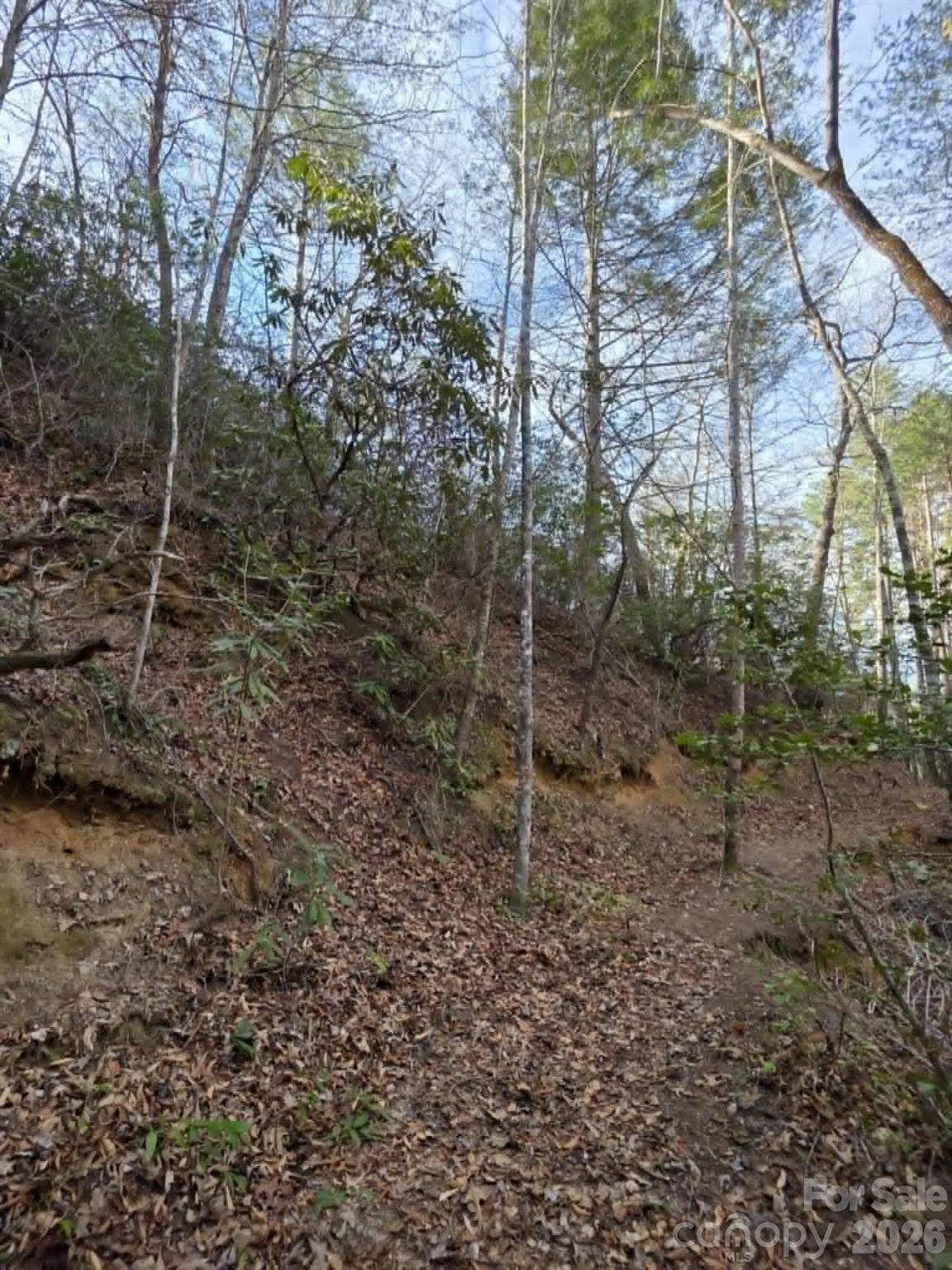 Lot 10 Kerlee Lane Old Fort NC 28762