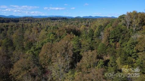 Tbd Cross Creek Drive Rutherfordton NC 28139