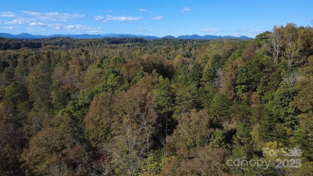 Tbd Cross Creek Drive Rutherfordton NC 28139