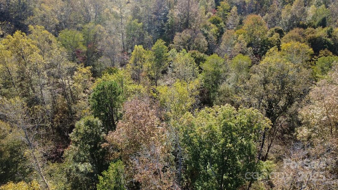 Tbd Cross Creek Drive Rutherfordton NC 28139
