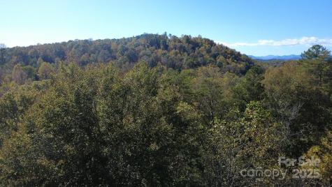 Tbd Cross Creek Drive Rutherfordton NC 28139