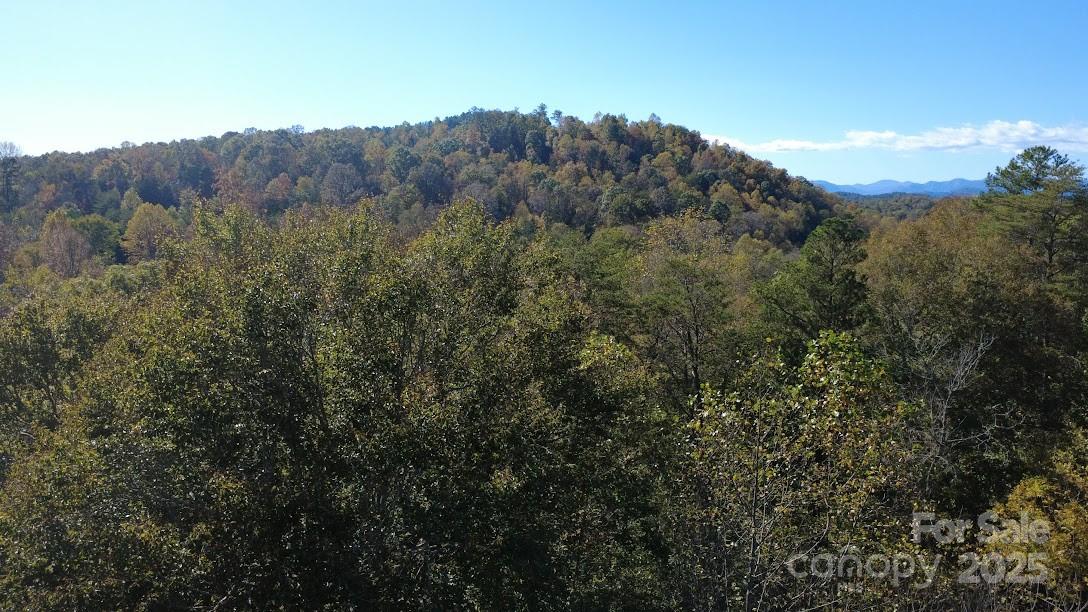 Tbd Cross Creek Drive Rutherfordton NC 28139